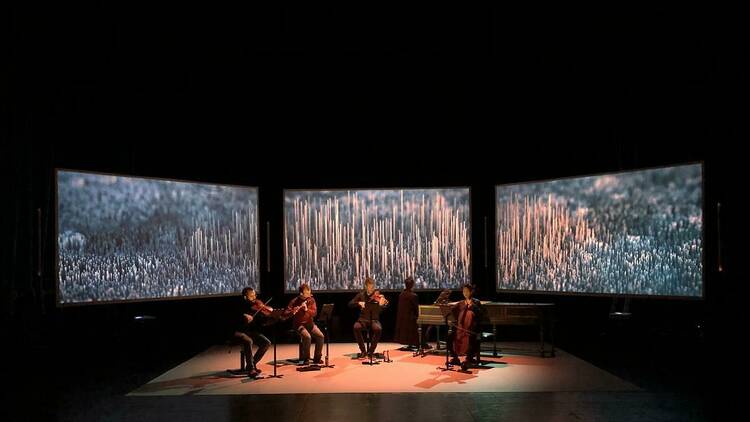 Ensemble Diderot - Bach Immersive (Teatros del Canal).