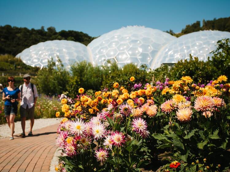 The Eden Project