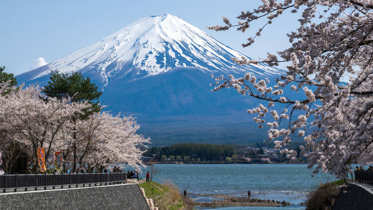 Lake Kawaguchiko, Yamanashi prefecture