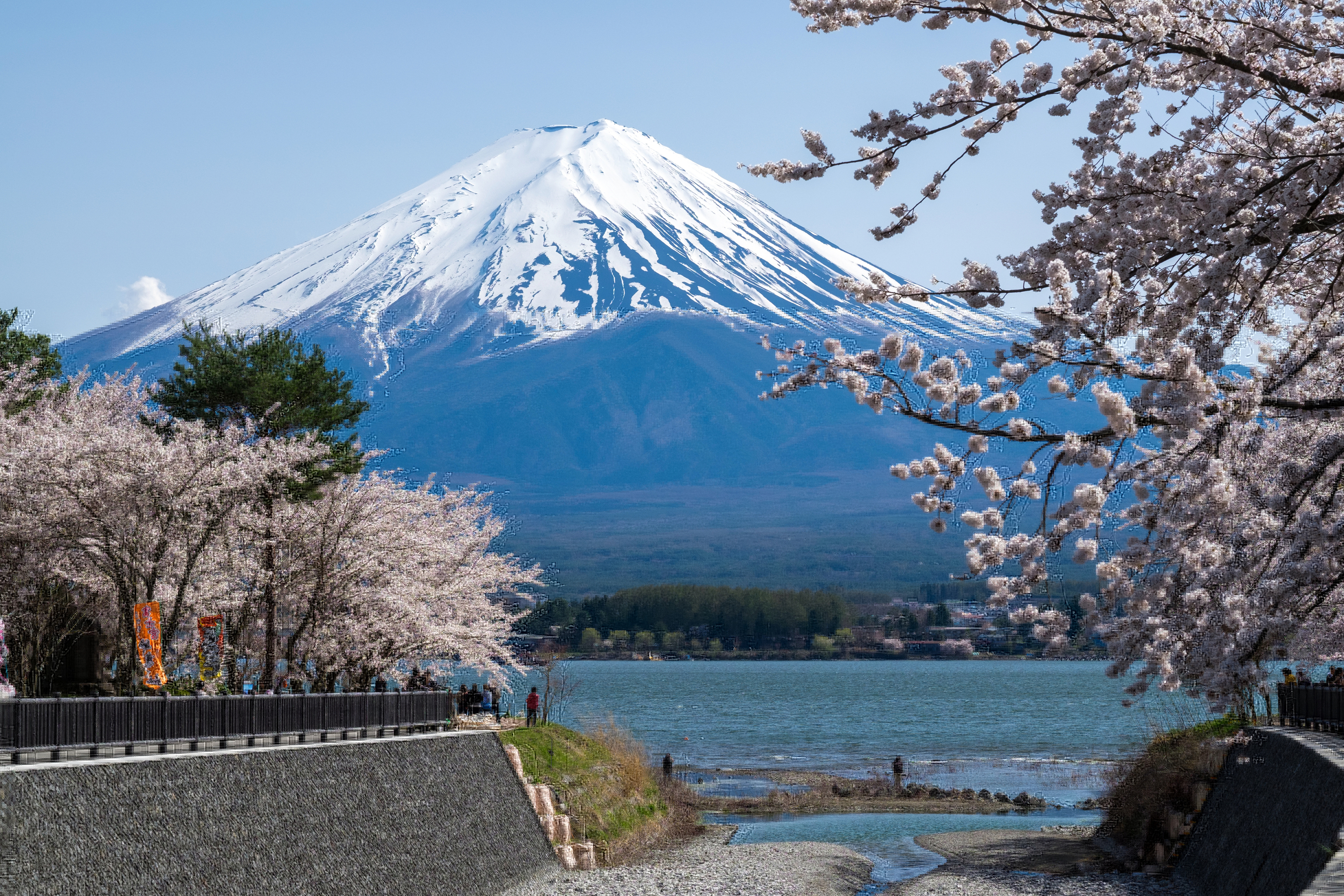 9 best cherry blossom day trips from Tokyo