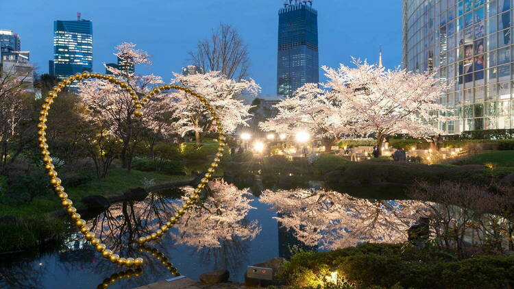 Roppongi Hills Sakura Festival