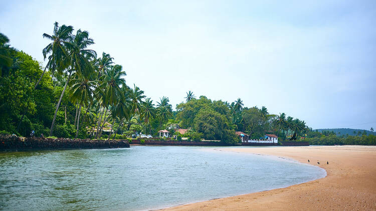 Calangute and Baga