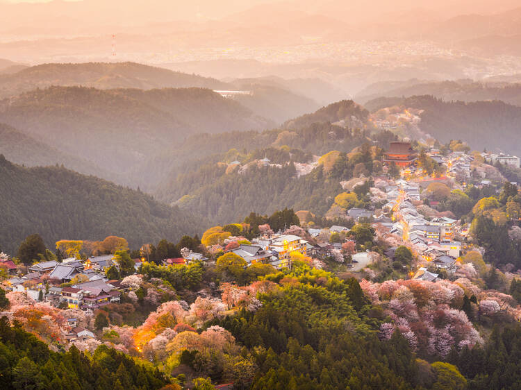 Mt Yoshino, Nara