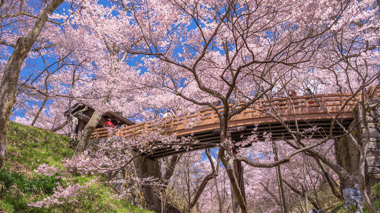 Takato Castle Ruins Park, Nagano