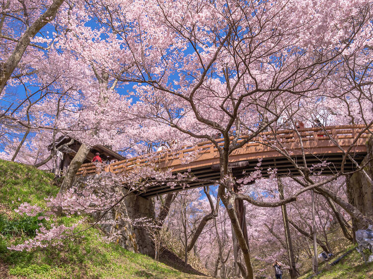 Takato Castle Ruins Park, Nagano