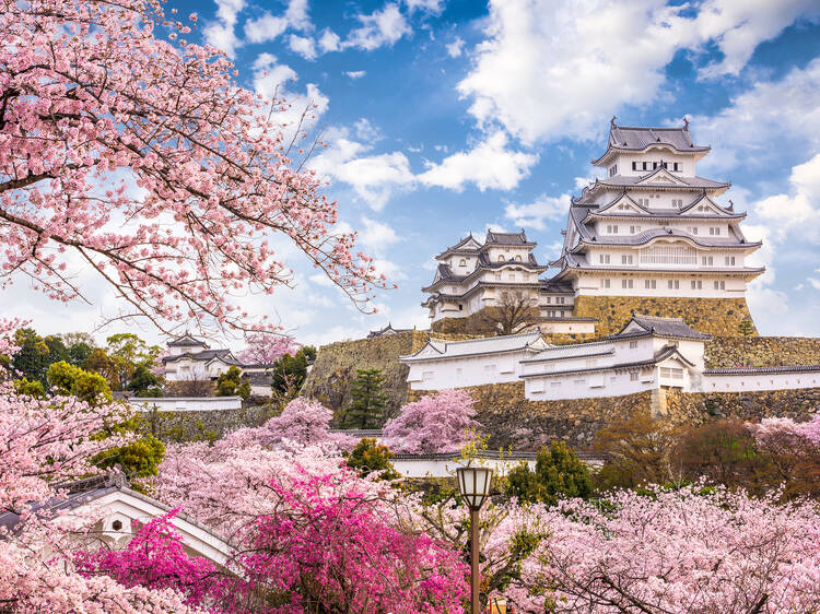 14 best places to see cherry blossoms in Japan – with 2023 dates