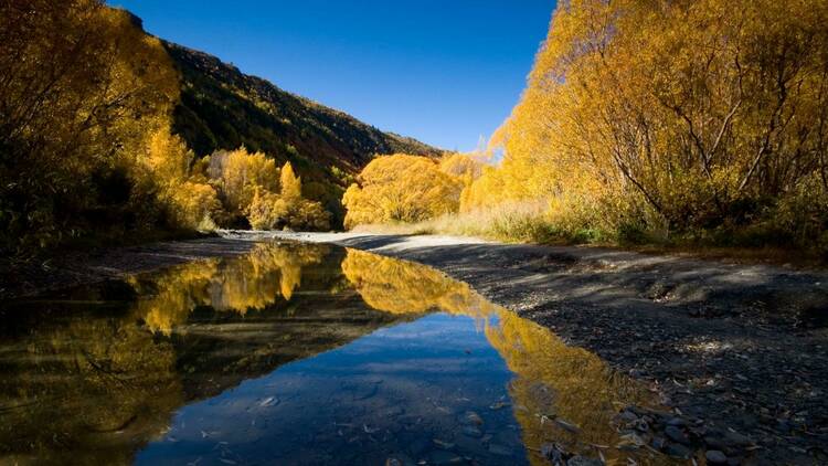 Arrowtown, Otago