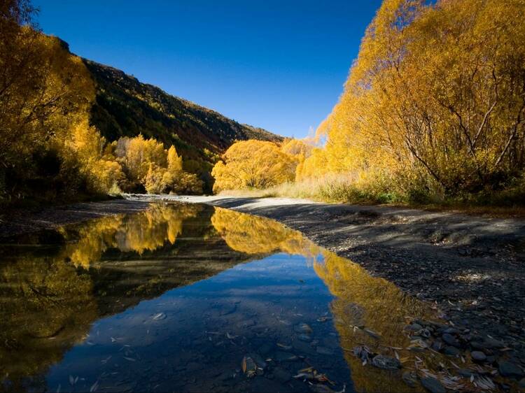 Arrowtown, Otago