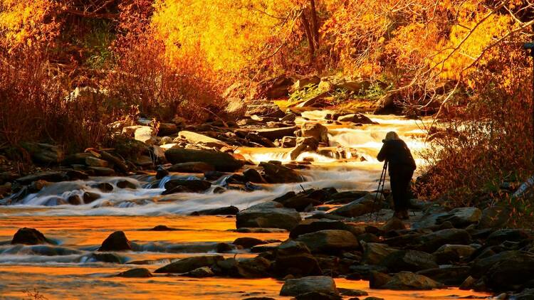 New Zealand autumn