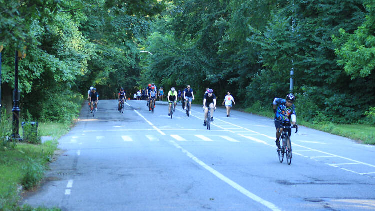 Cyclists riding through Prospect Park in Brooklyn
