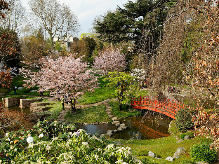 Jardin du musée Albert-Kahn