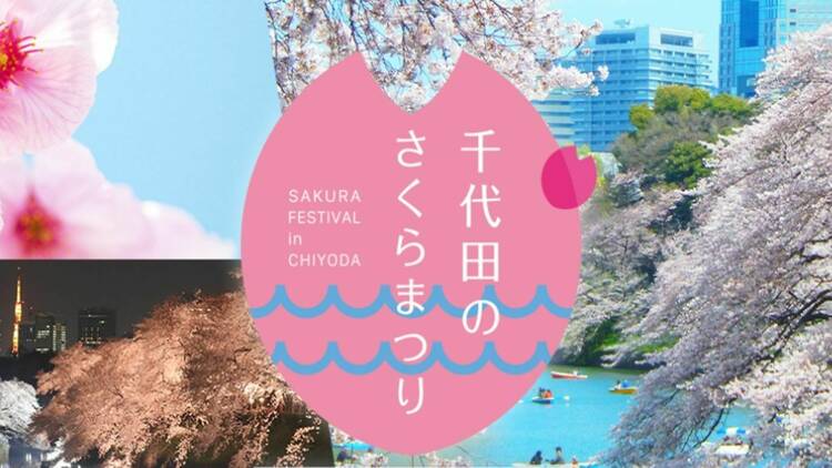 Sakura Festival in Chiyoda