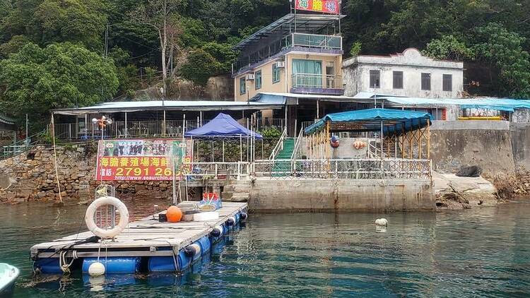 Sea Urchin Breeding Centre Seafood Restaurant