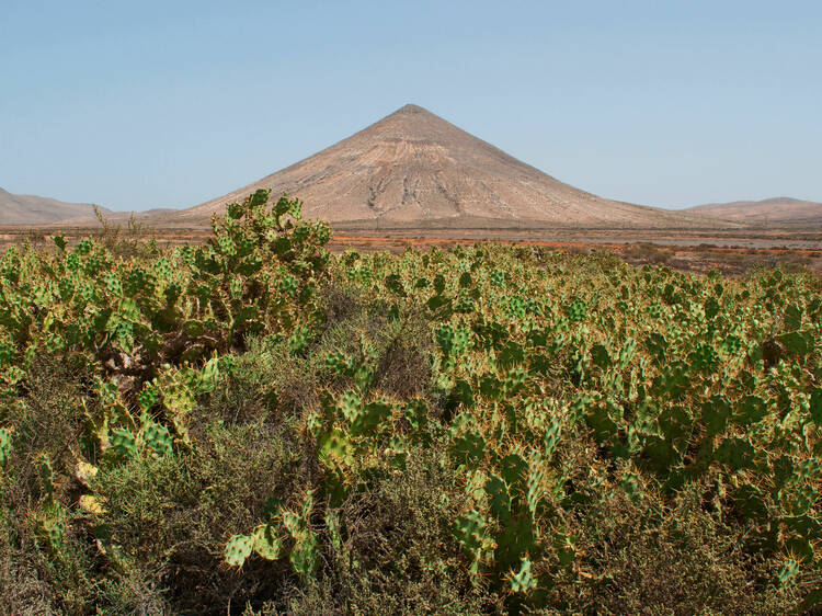 Malpaís de la Arena