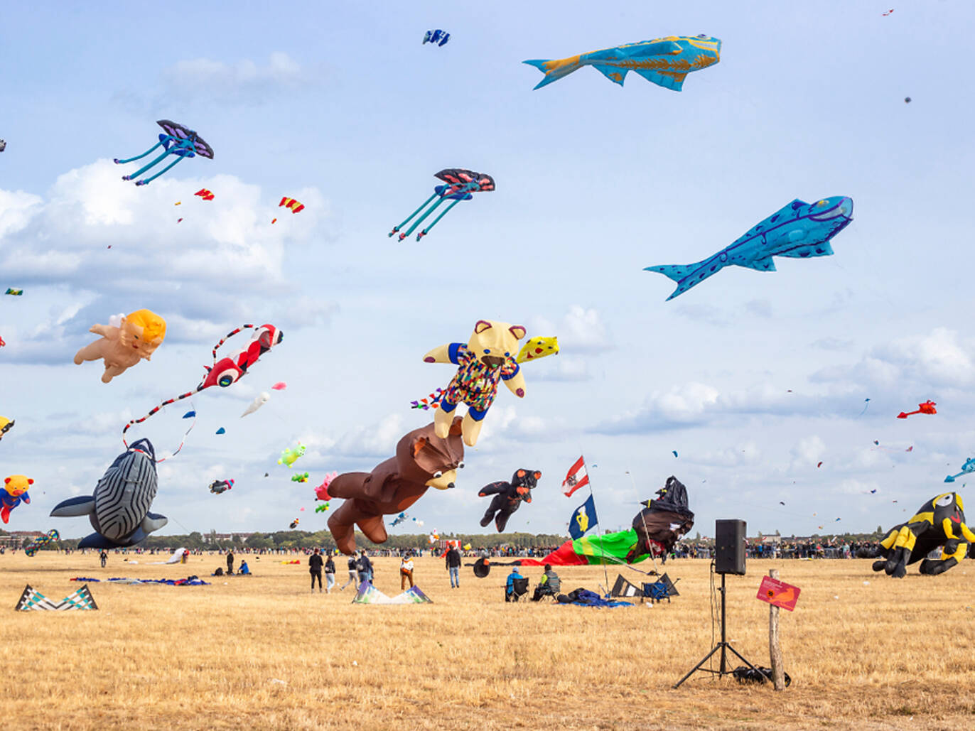 How to Spend a Weekend in Berlin, According to a Local