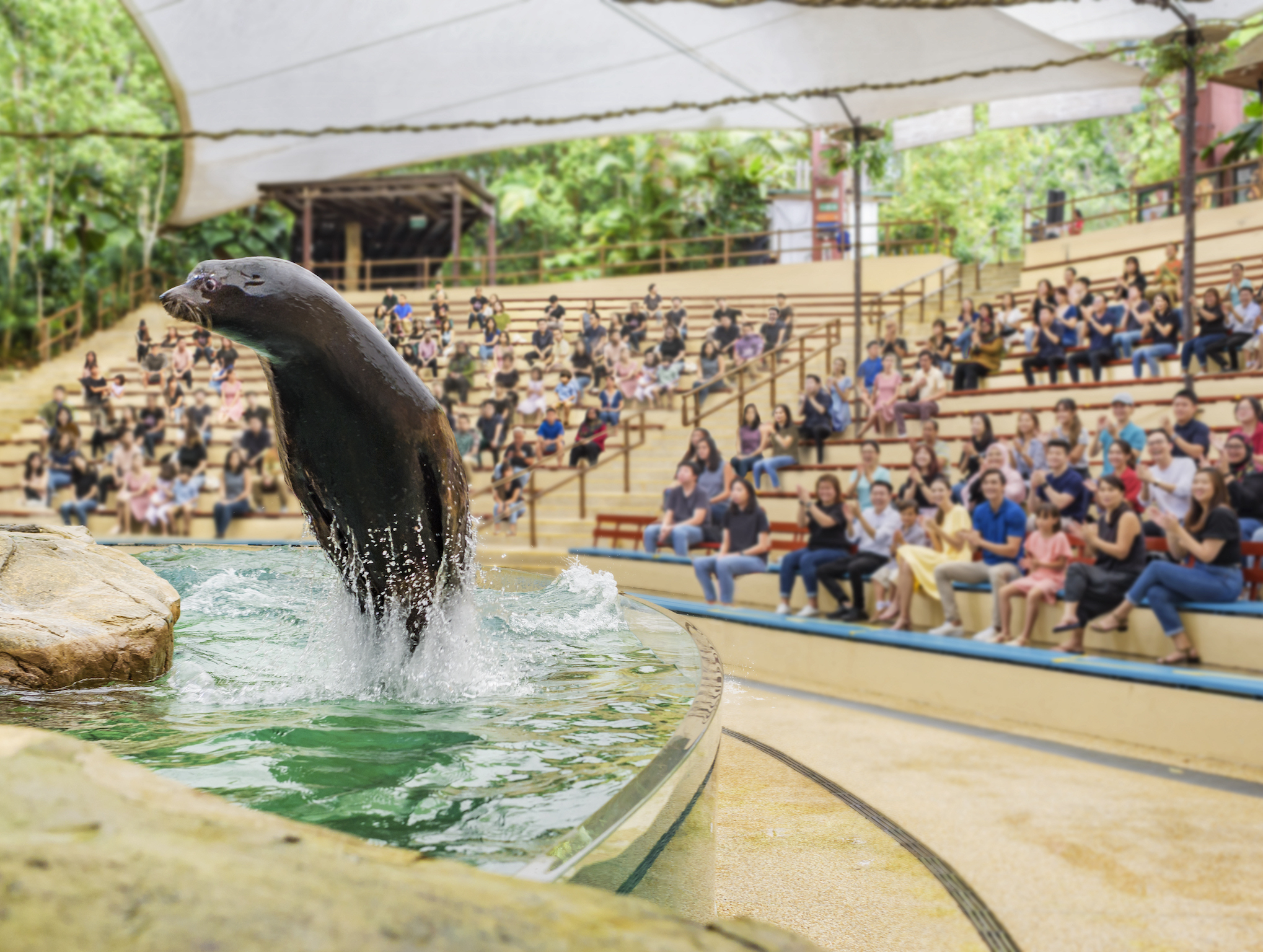 Glamping in the Wild 2023