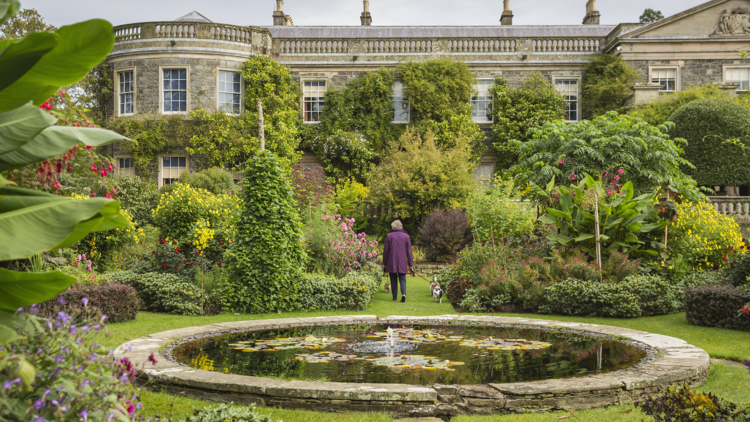 Mount Stewart