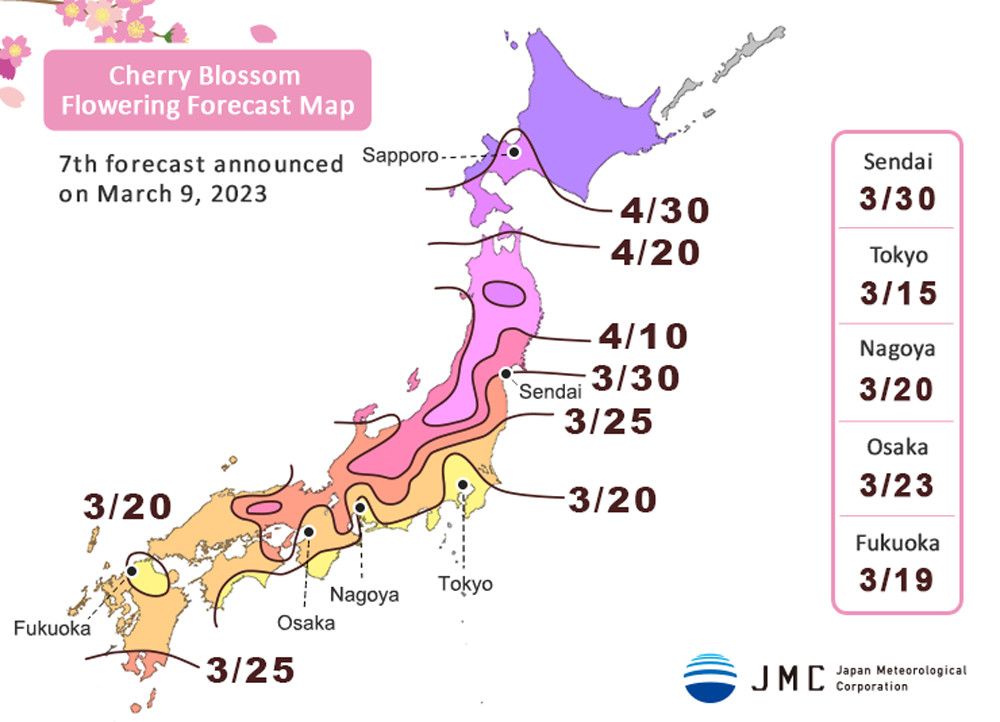 Japan Cherry Blossom 2024 Forecast: When & Where To See Sakura in