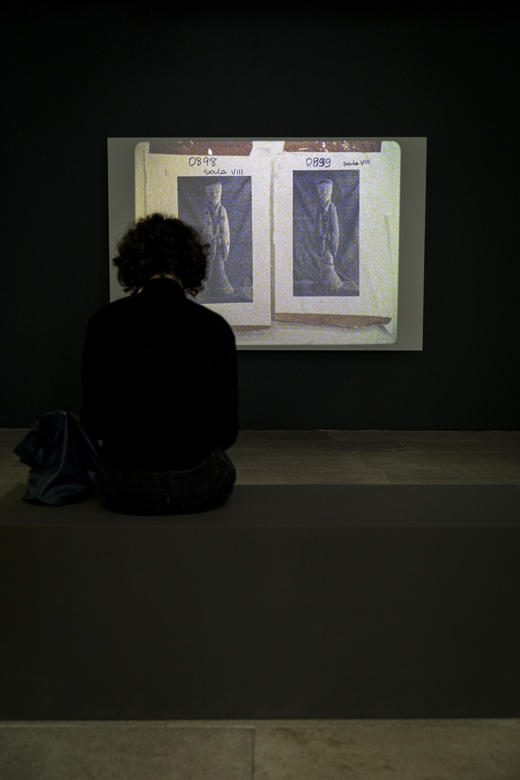 "Sombra Luminosa", de Mariana Caló e Francisco Queimadela