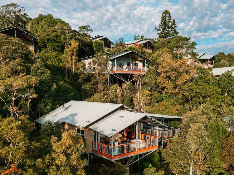 O'Reilly's Rainforest Retreat