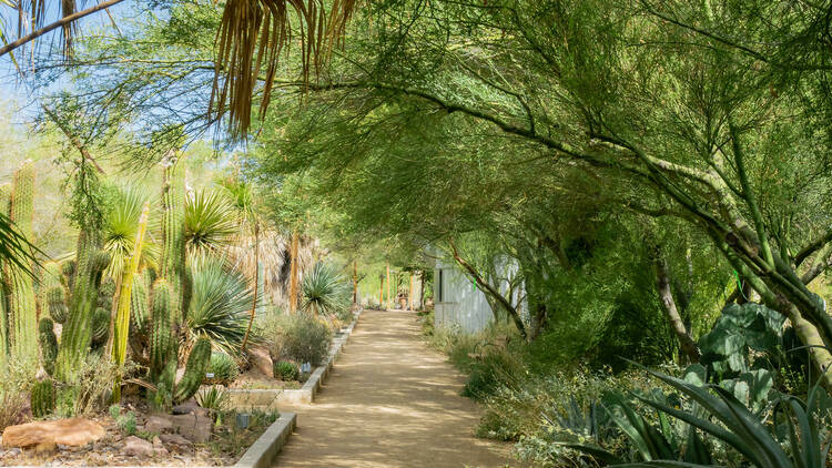 Las Vegas Springs Preserve