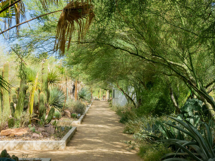 Botanical Garden entrance at the Las Vegas Springs Preserve