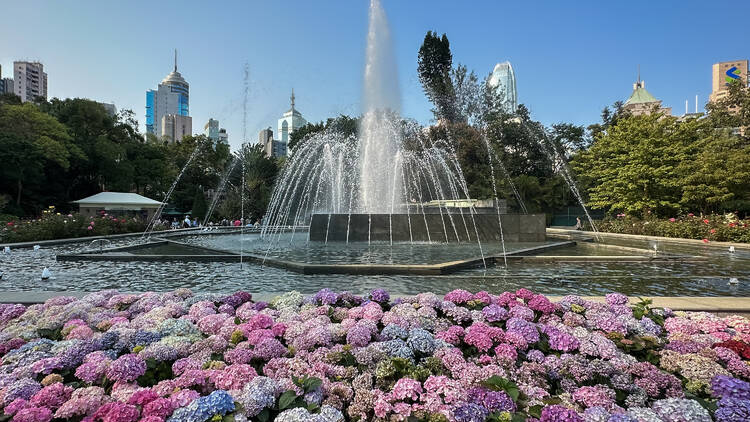 Catch a breath of fresh air at the Hong Kong Zoological and Botanical Gardens