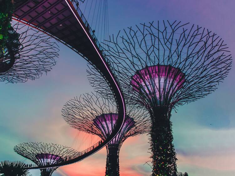 Gardens by The Bay