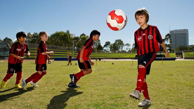 Keep kids active with Sydney Olympic Park programs