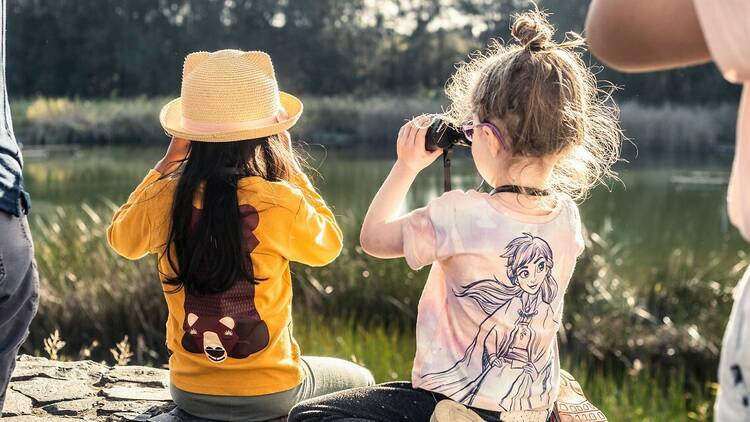 Learn about our eight-legged friends with Junior Park Rangers: Spider Surprise & Nature