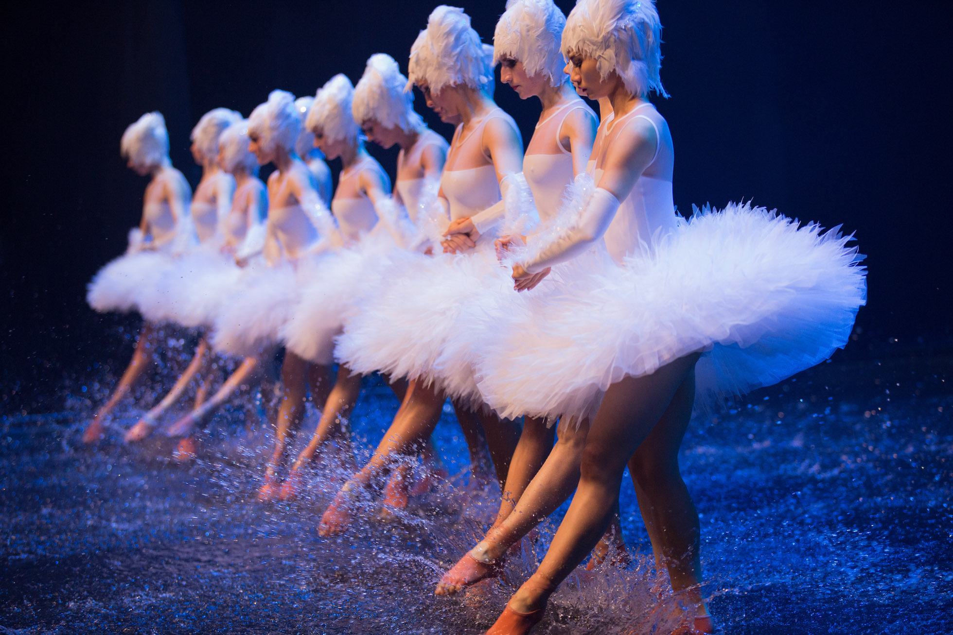 Swan Lake on Water | Dance in Tokyo