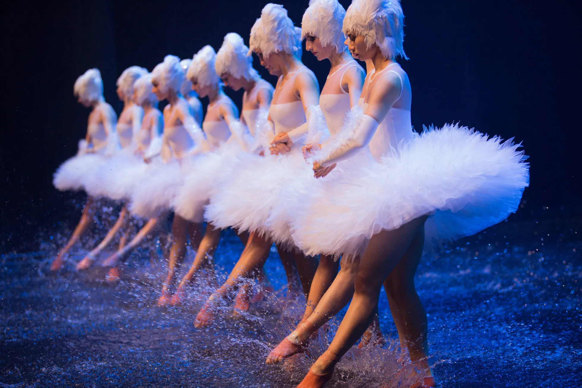 SWAN LAKE ON WATER