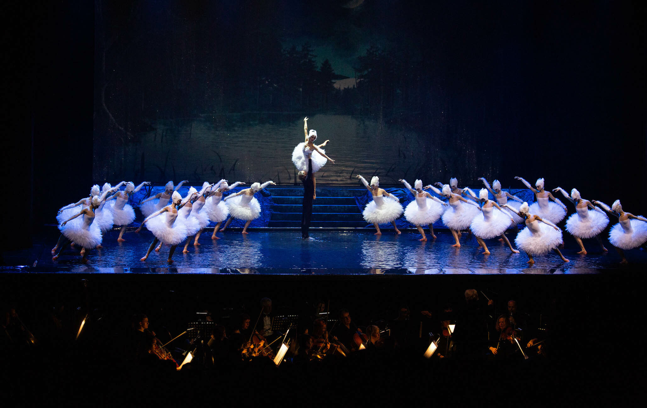 SWAN LAKE ON WATER