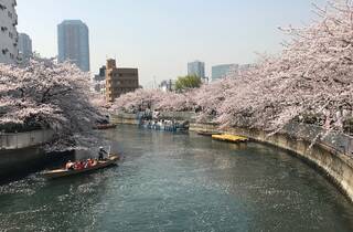 Oedo Fukagawa Sakura Matsuri | Things to do in Tokyo