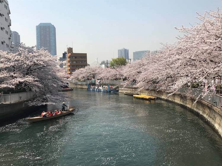 お江戸深川さくらまつり