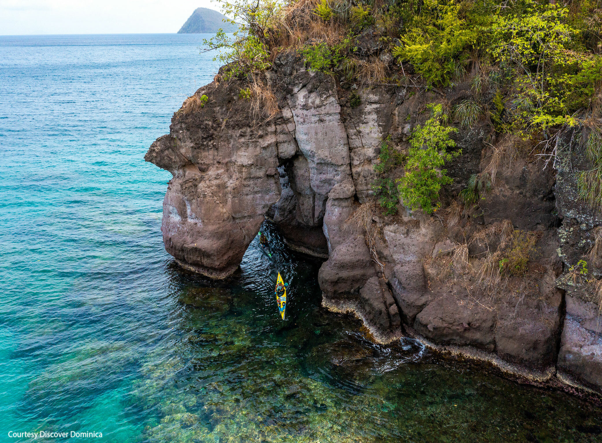 Dominica