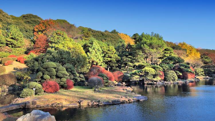 Koshikawa Botanical Garden