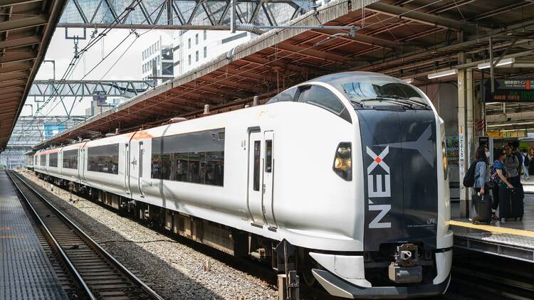 JR Narita Express (N’EX)