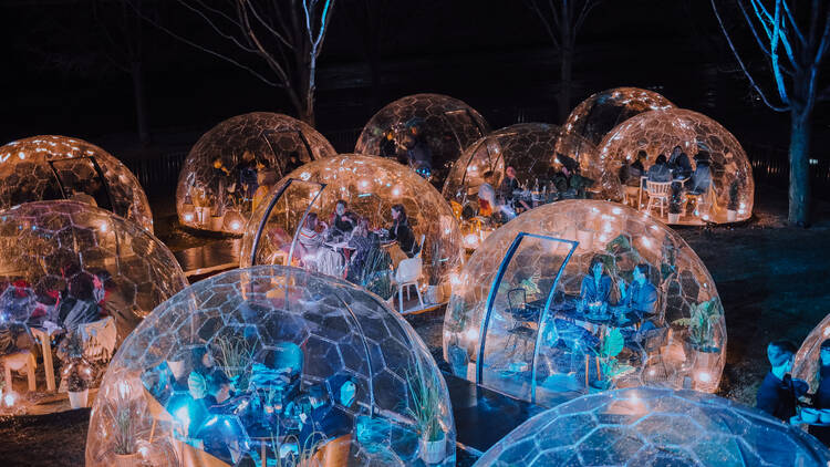 Diners eating inside domes