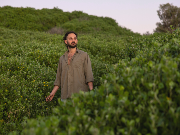 A man stands in green shubbery