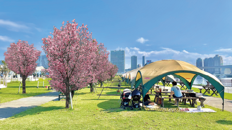 Toyosu Outdoor Festival