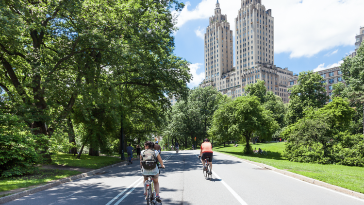 Bikes in Central Park