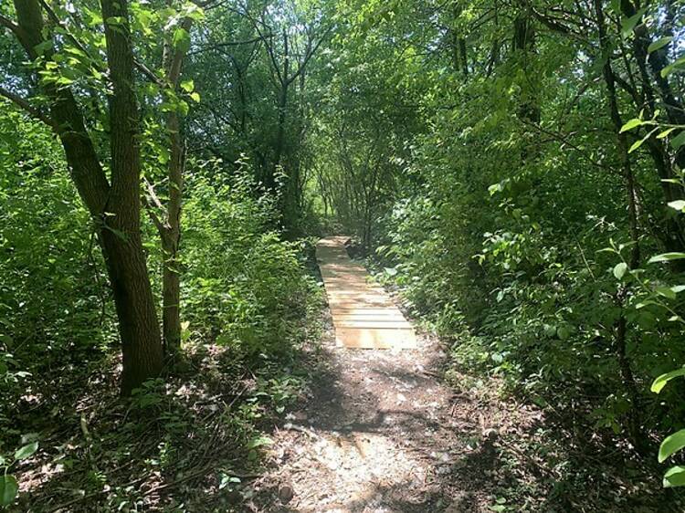 Big Marsh Walking Trail