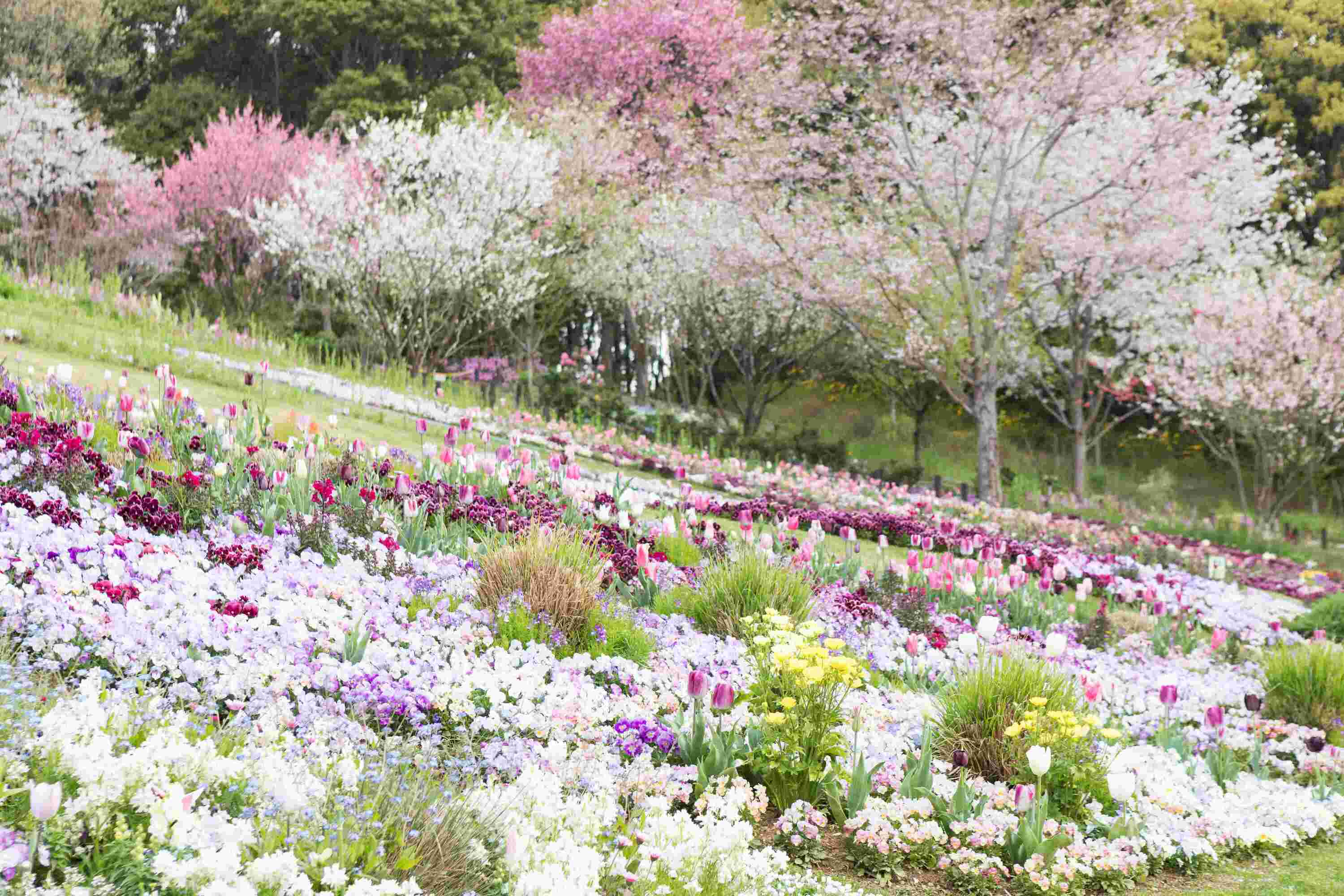 See all the spring flowers in bloom at Garden Necklace