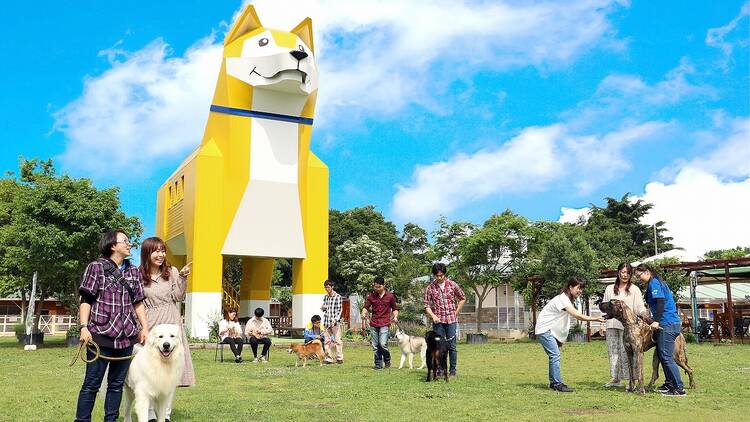 Dogs at Tsukuba Wanwan Land, Ibaraki prefecture