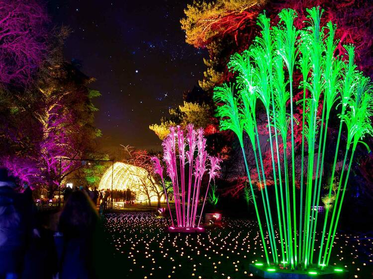 Light shows: everything illuminated and glowing in Melbourne this month