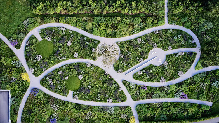 A bird's-eye view of a stylishly designed, green garden.