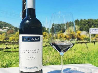 Discover Israel's wine country