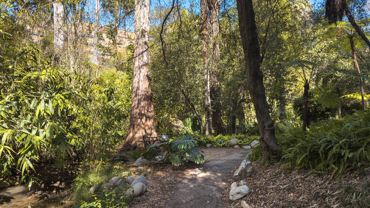 Mildred E. Mathias Botanical Garden