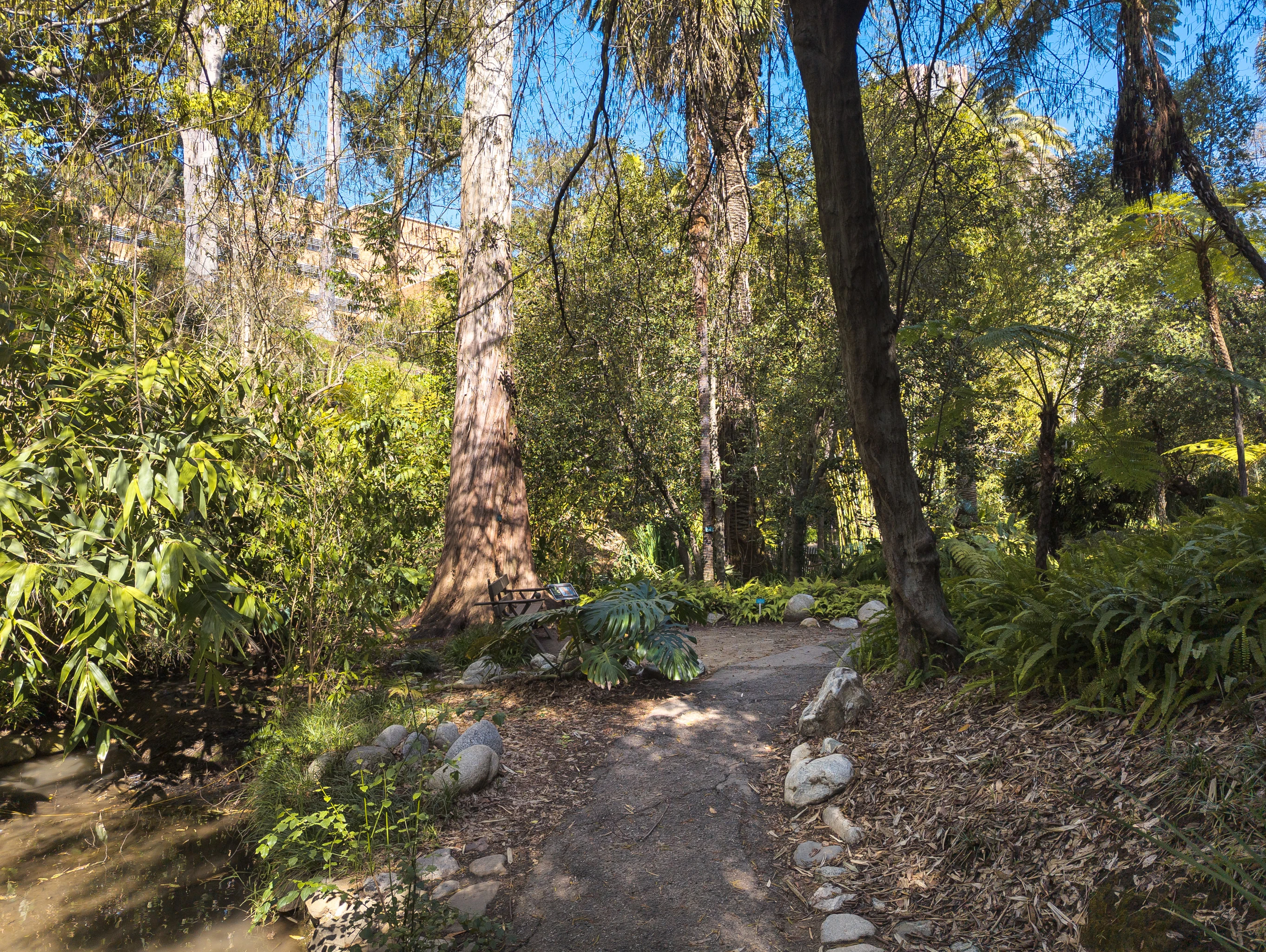 Mildred E. Mathias Botanical Garden